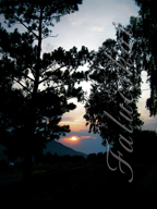 real estate, real estate broker, CAR, MCAR, monterey bay real estate, photography, web design, art, buy a home, sell a home